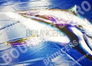 Надувной бассейн «Дельфин» - Надувные бассейны. Цена:25 000 руб. ширина:, длина:, высота:0.5 м, вес:
